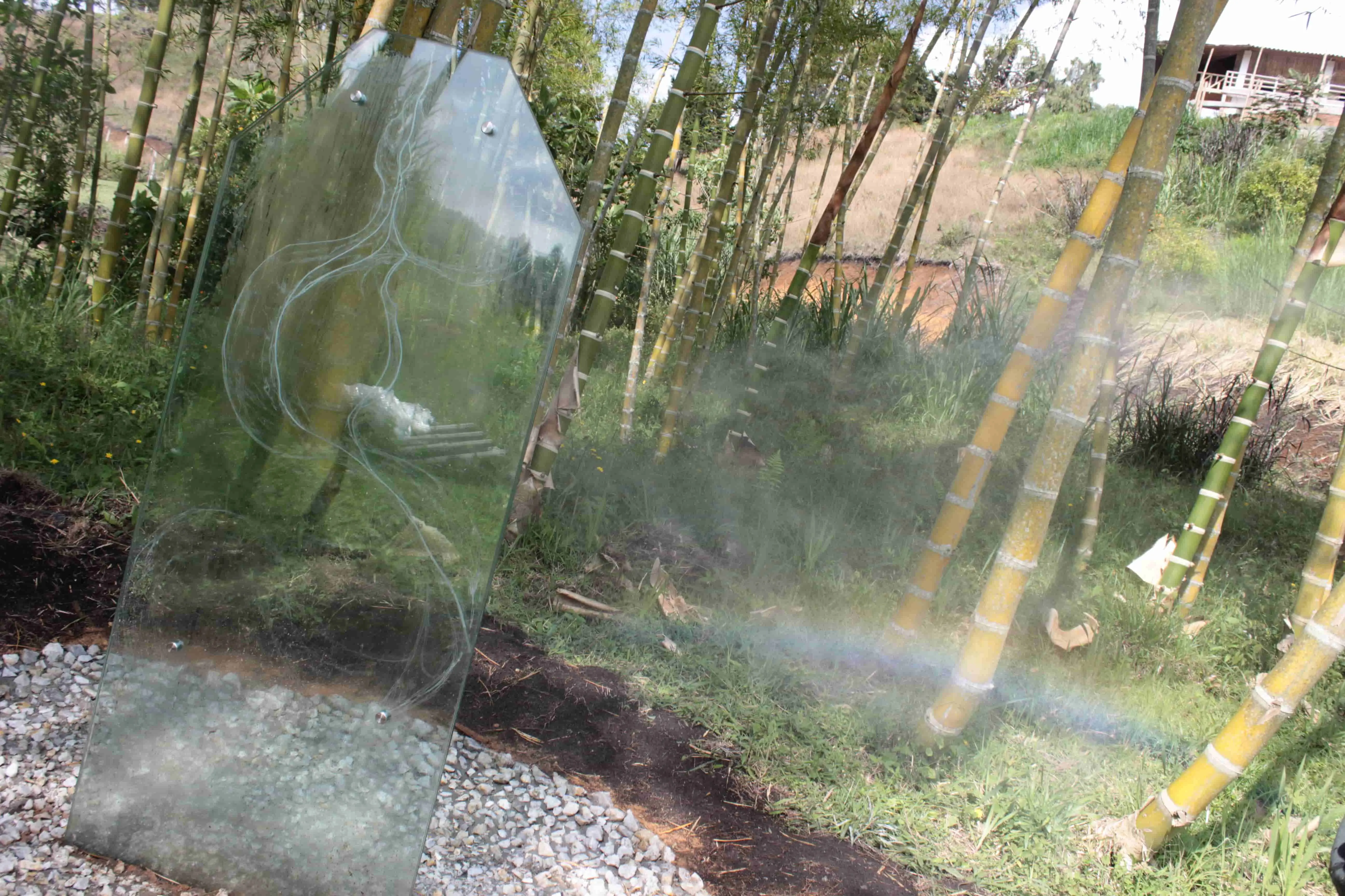 process image
