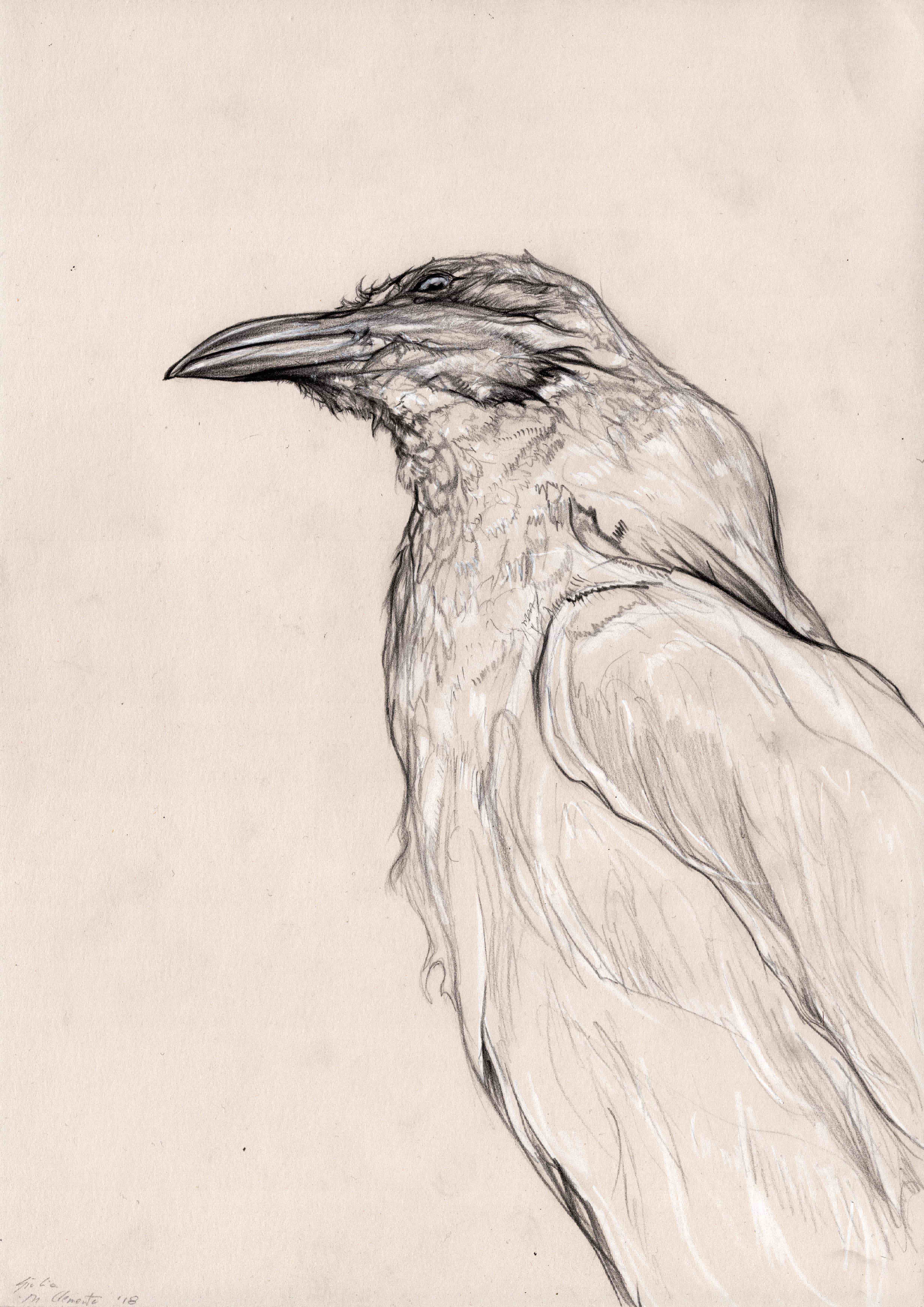 process image