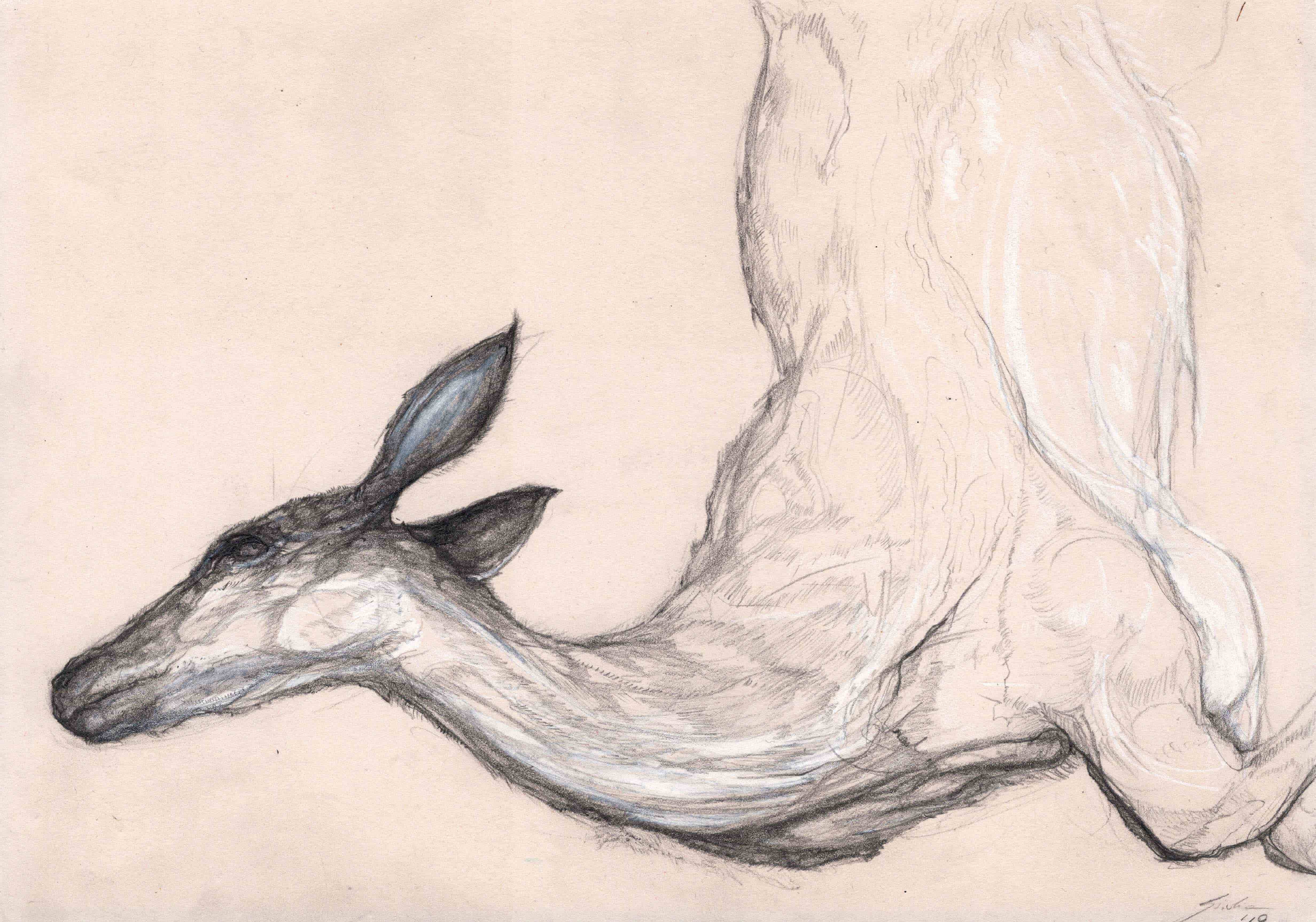 process image