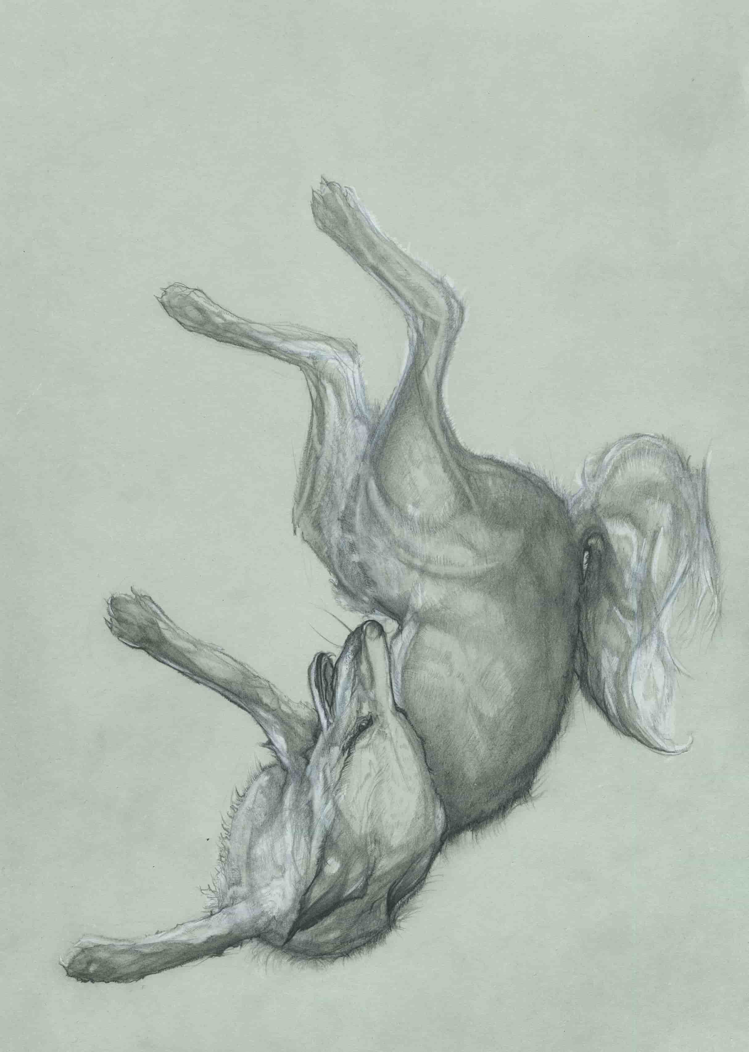 process image