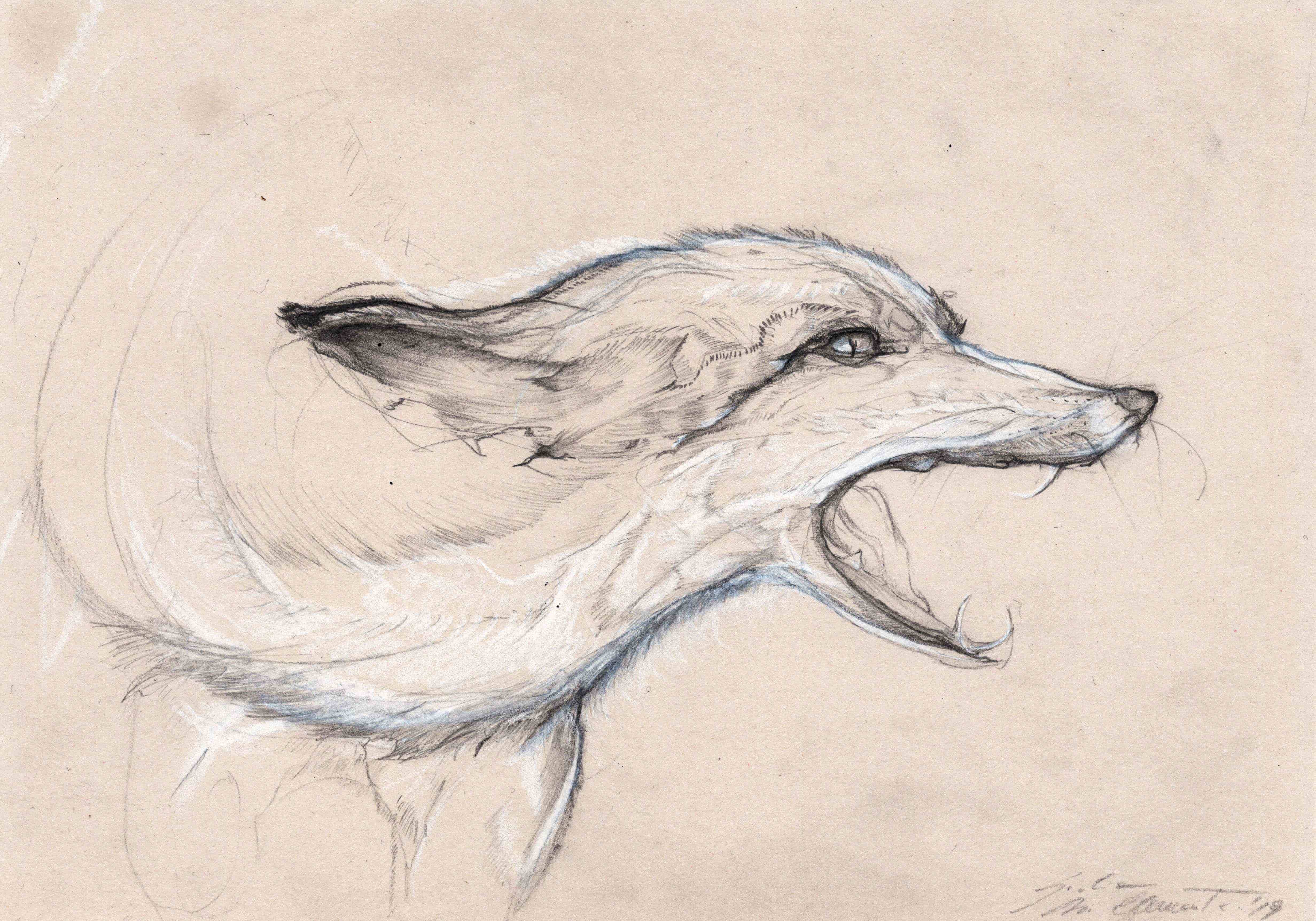 process image