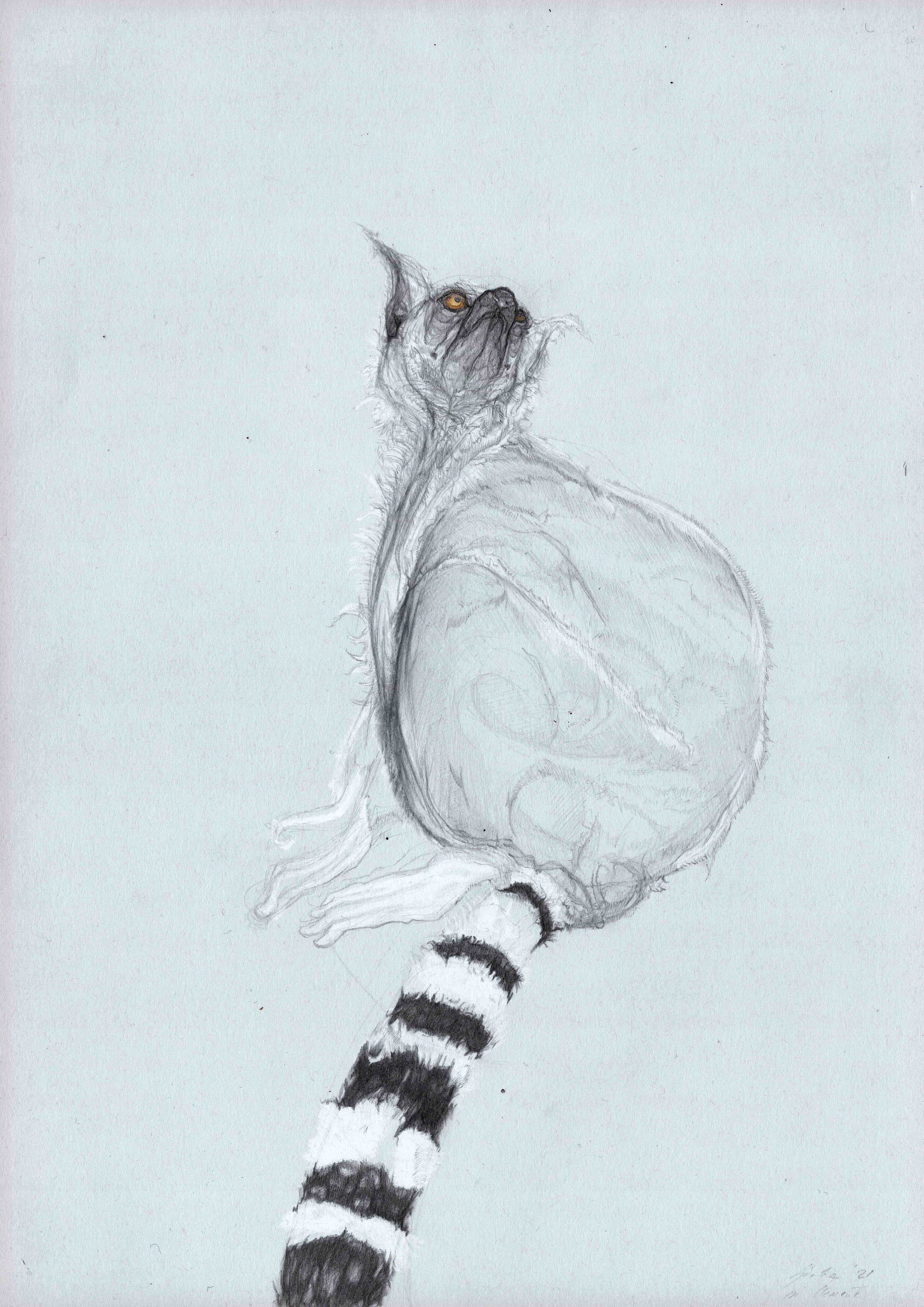 Lacrimosa