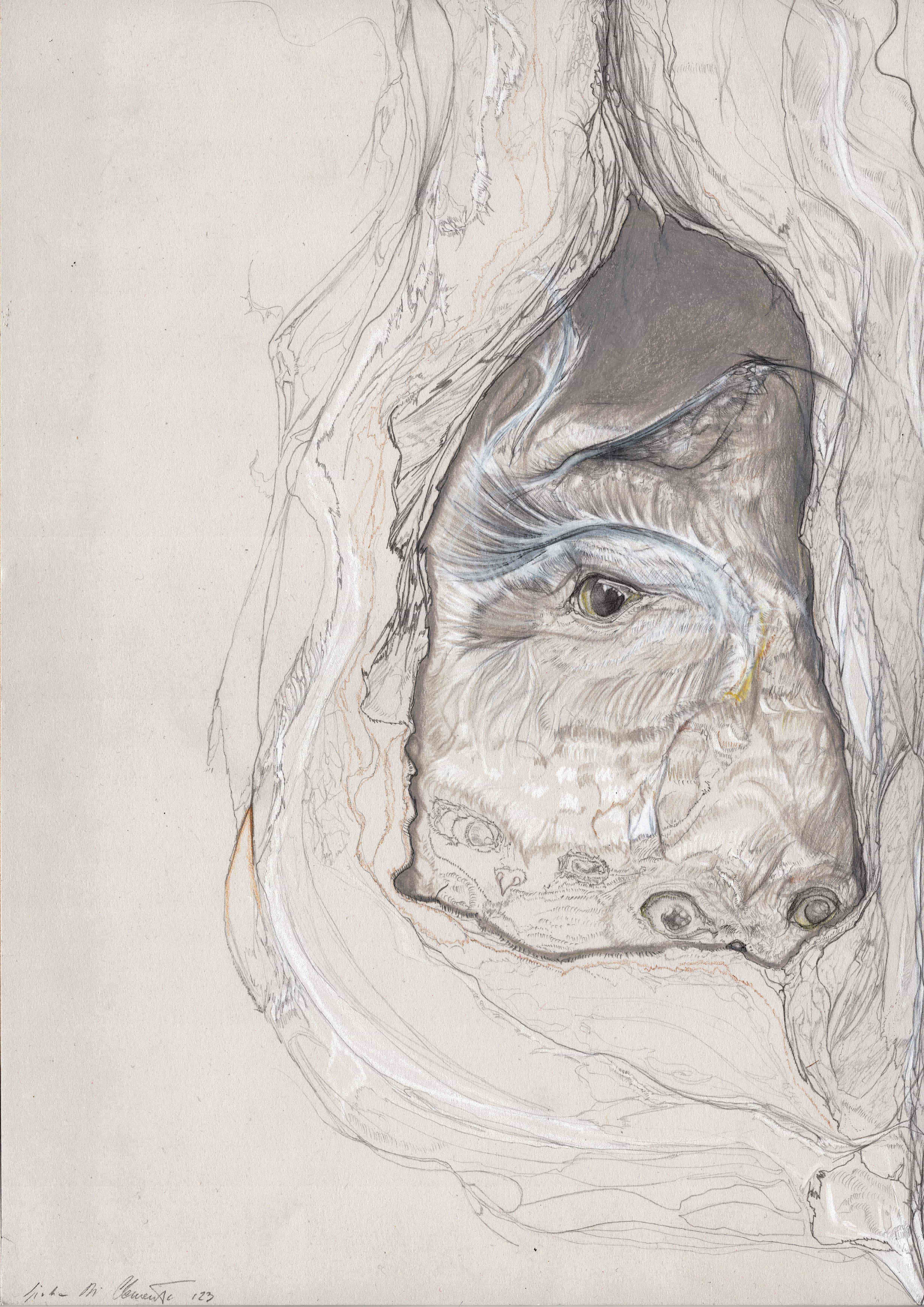 process image