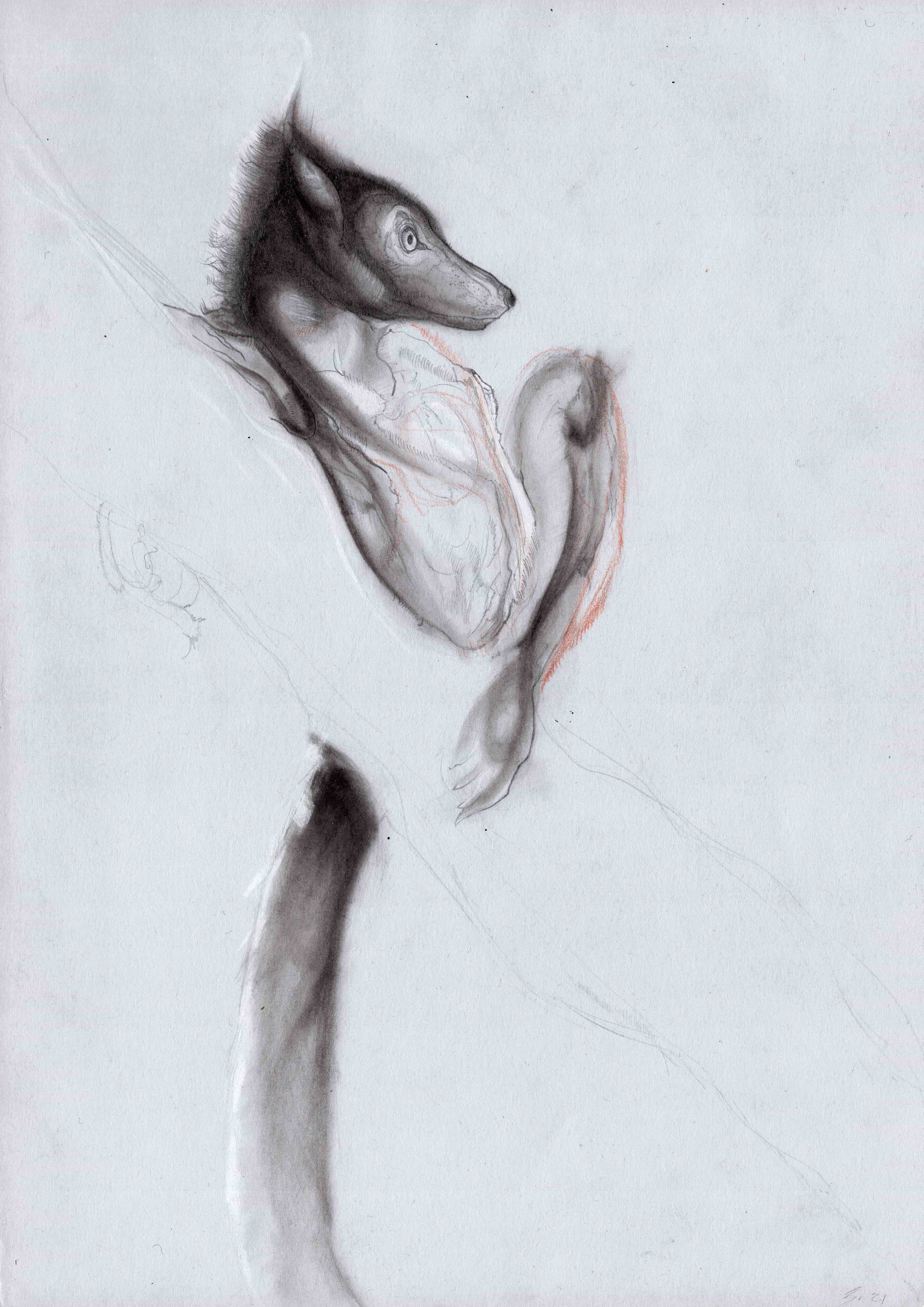 process image