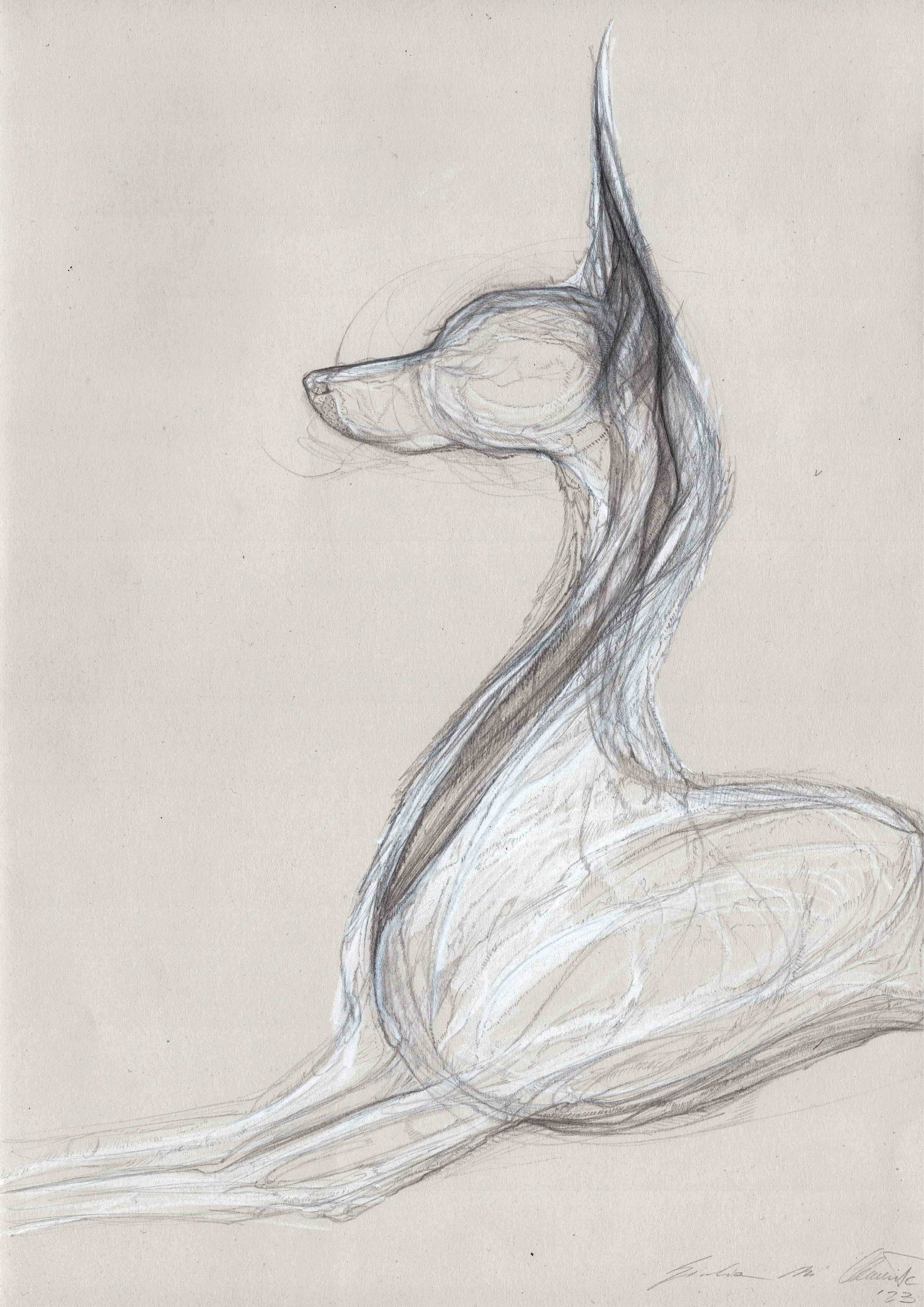 process image
