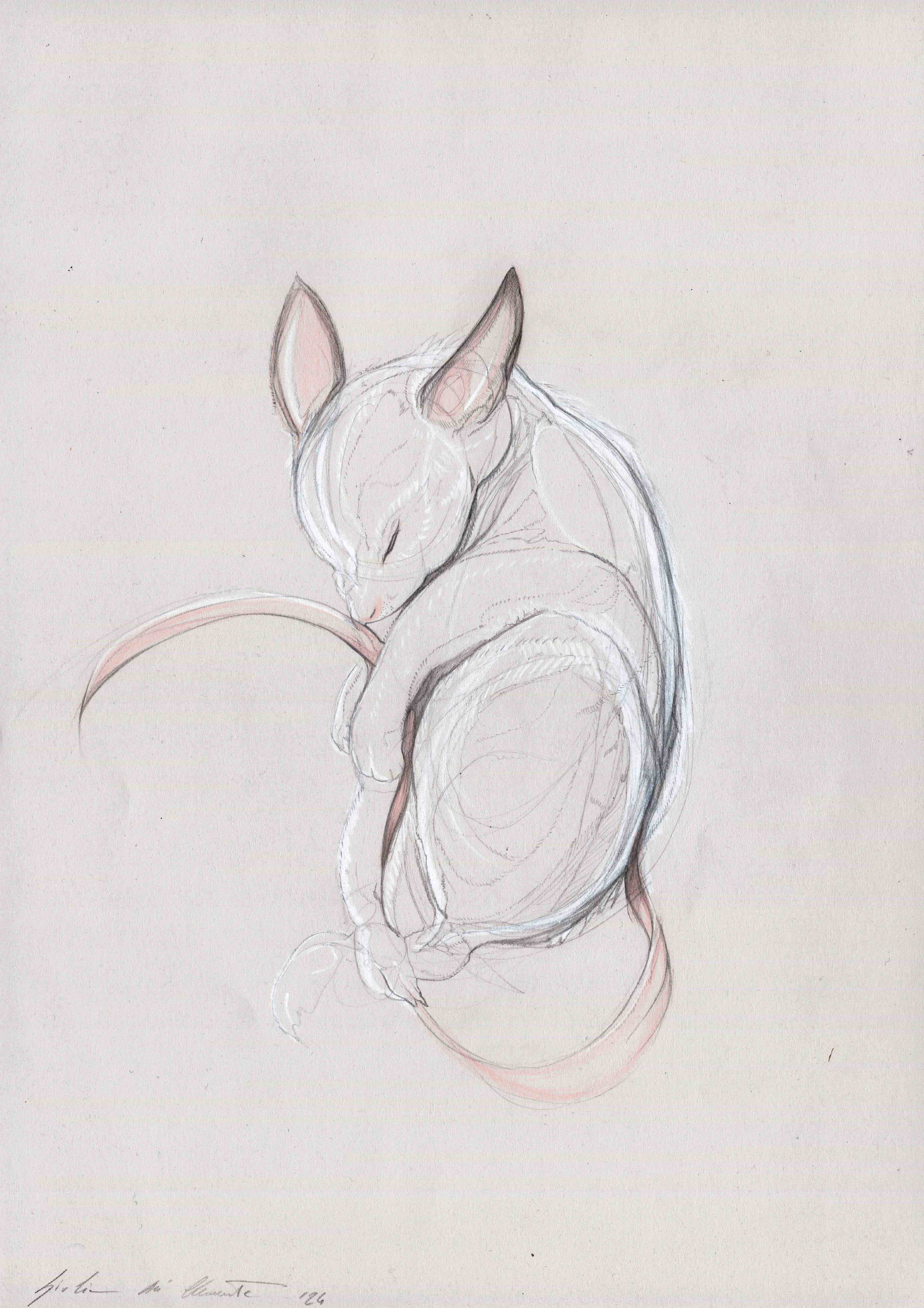 process image